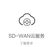 SD-WAN云服务