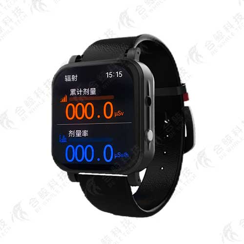 BW-DPD160H个人剂量监测腕表