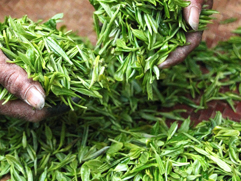 山西春味农业科技股份有限公司