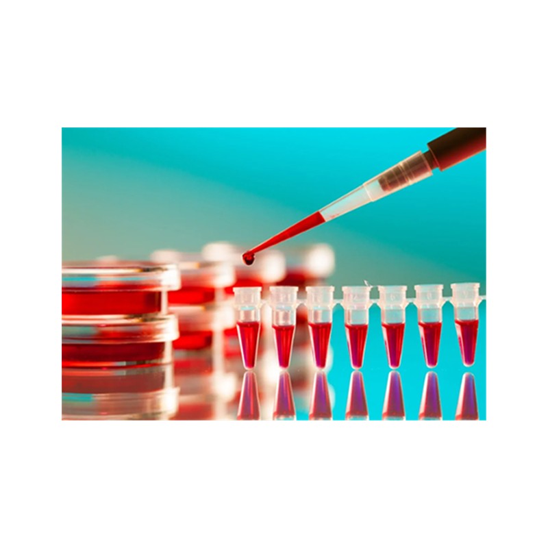 Laboratory Consumables