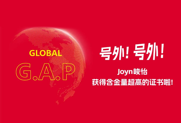 Obtaining the G.A.P certificate that is mutually recognized by the EU is not an ordinary banana!