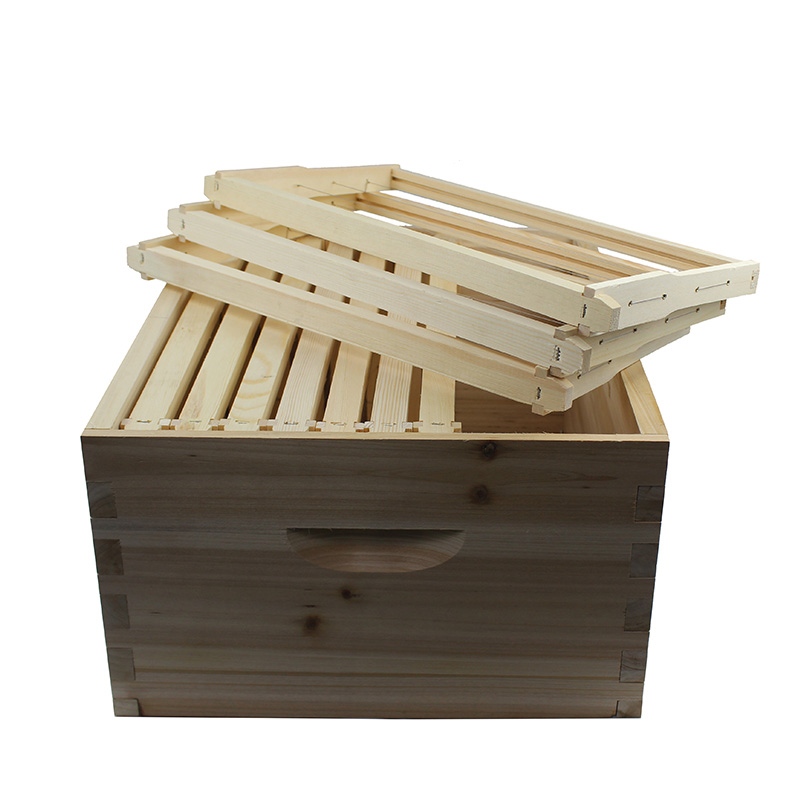 Langstroth 10 frames assembled bee box