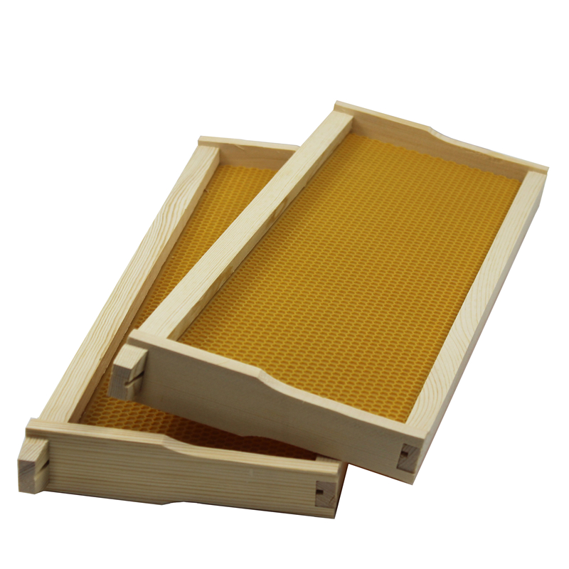 Langstroth super wooden frame with plastic foundation