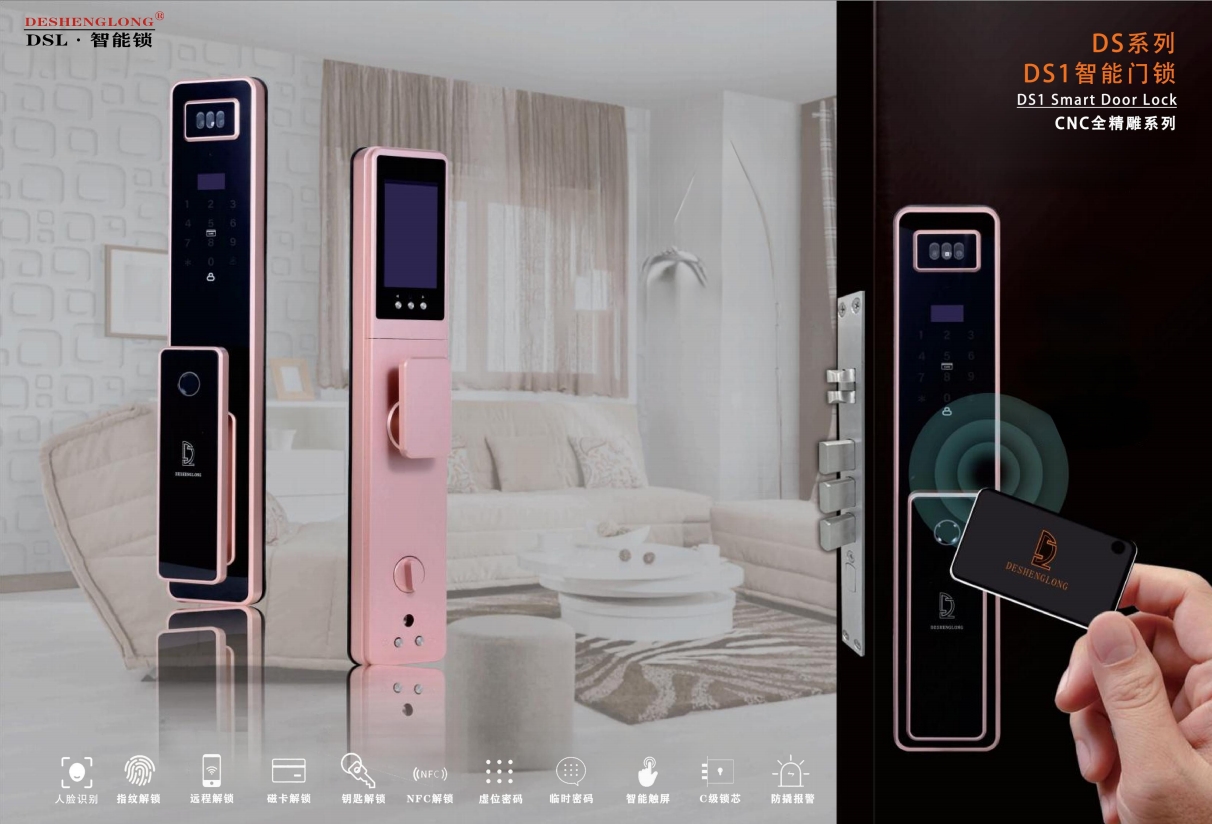 德胜陇 DS1 全自动智能门锁