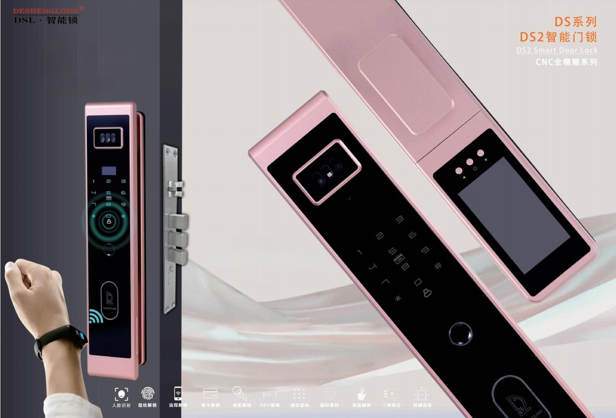 德胜陇 DS2 全自动智能门锁