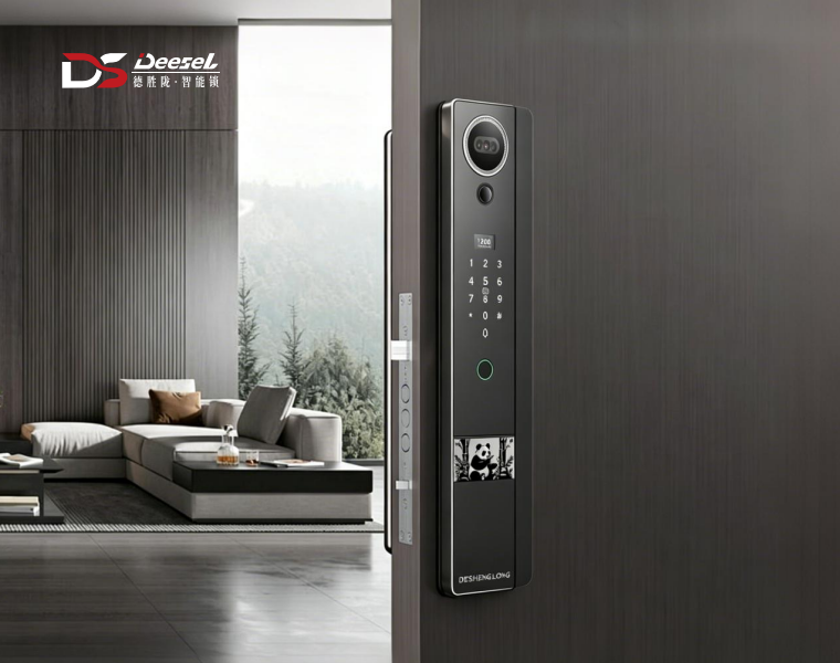 DS6 Pro