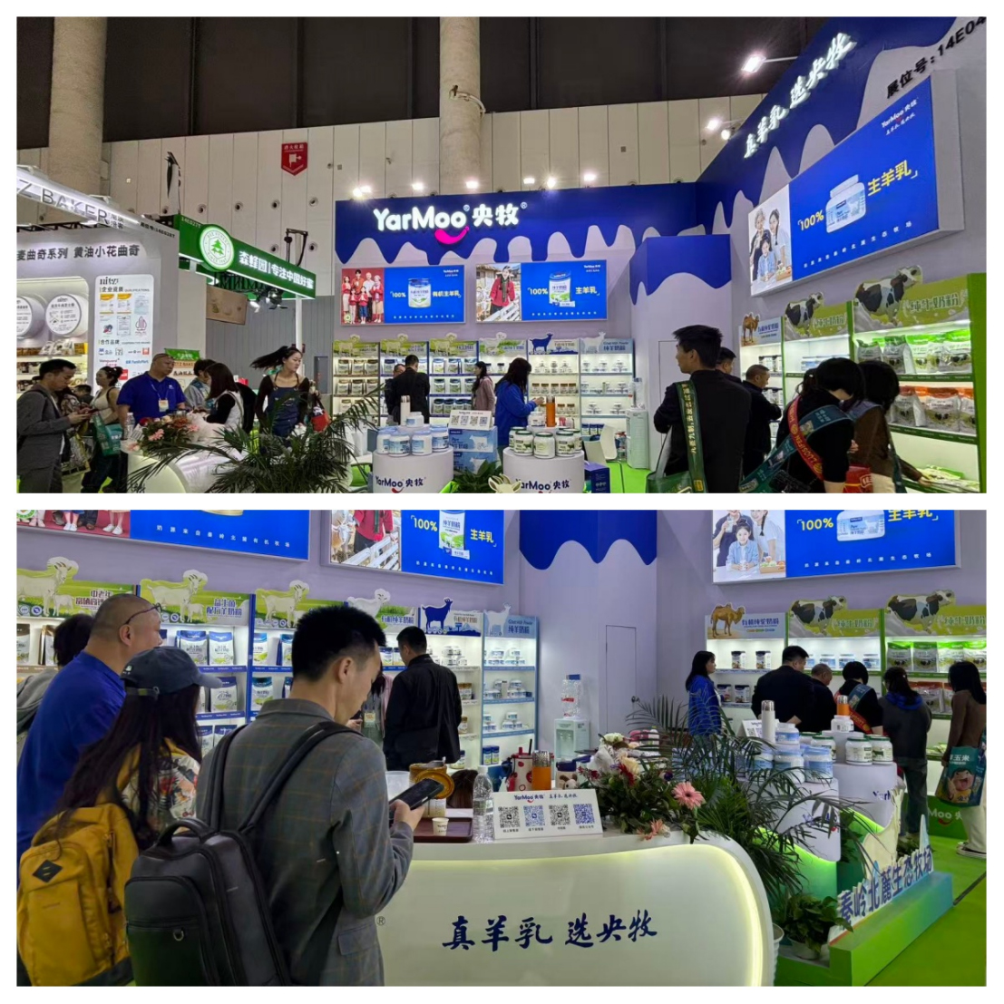 四展联动启新程 央牧乳业以真羊乳铸根基链接全渠道生态