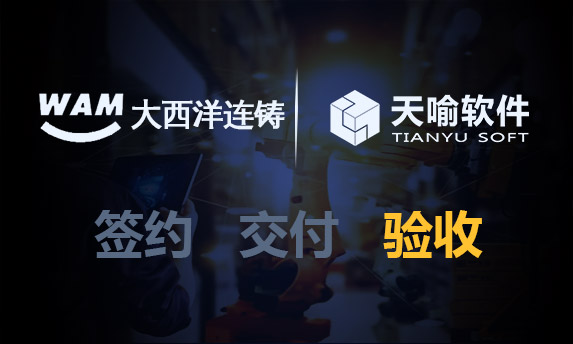 武汉大西洋连铸设备工程有限责任公司PDM升级项目正式验收