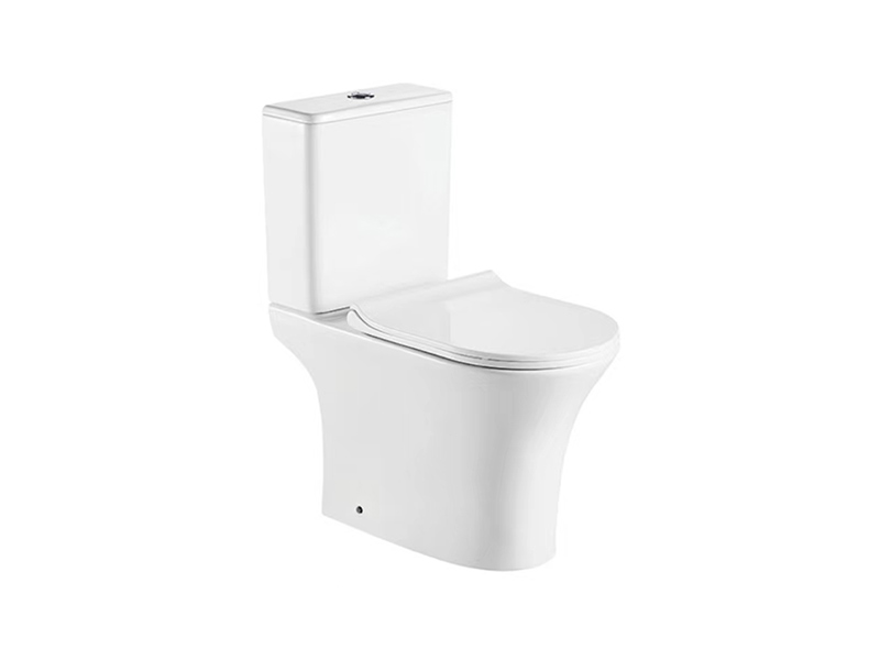 Rimless Washdown Two Piece Toielt