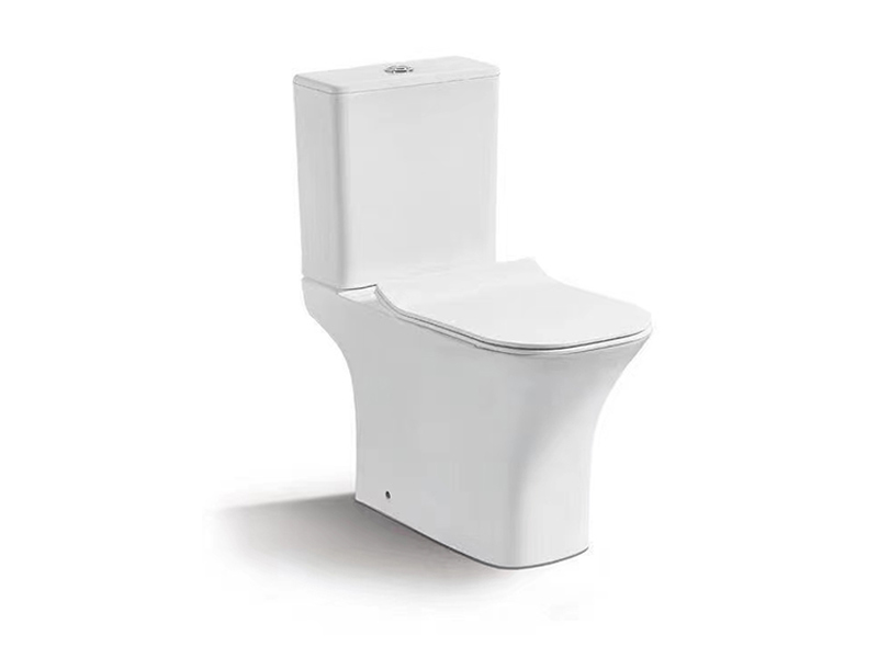 直冲式分体座便器Washdown two-piece toilet