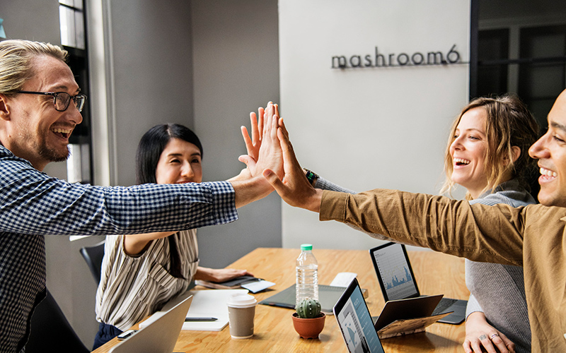 公司拥有意大利STAM全自动辊压生产线等100多条生产线