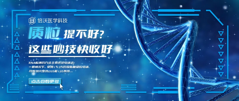 【倍沃小课堂】质粒那些事儿（文末有惊喜）