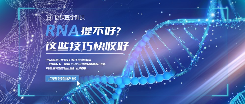 【秘籍】RNA提不好？这些技巧快收好