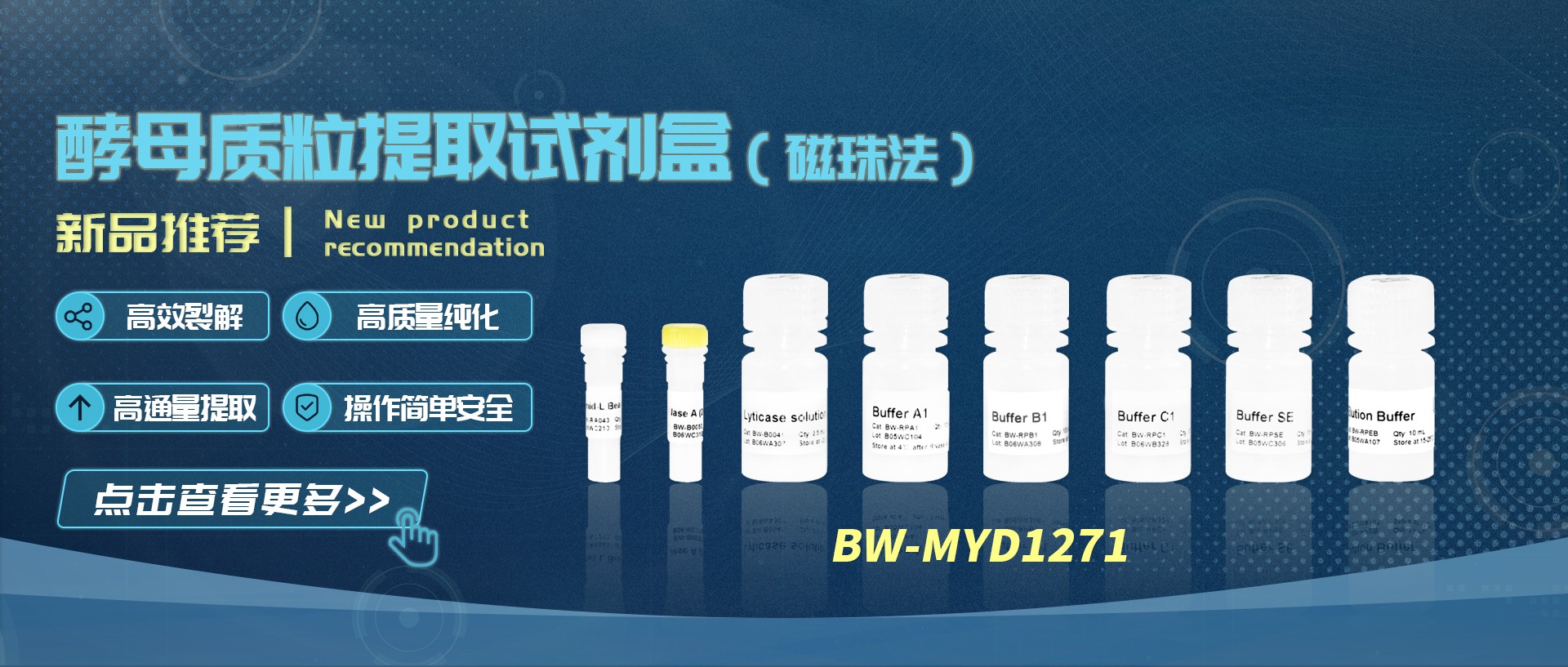 探险之旅|磁珠法酵母质粒提取