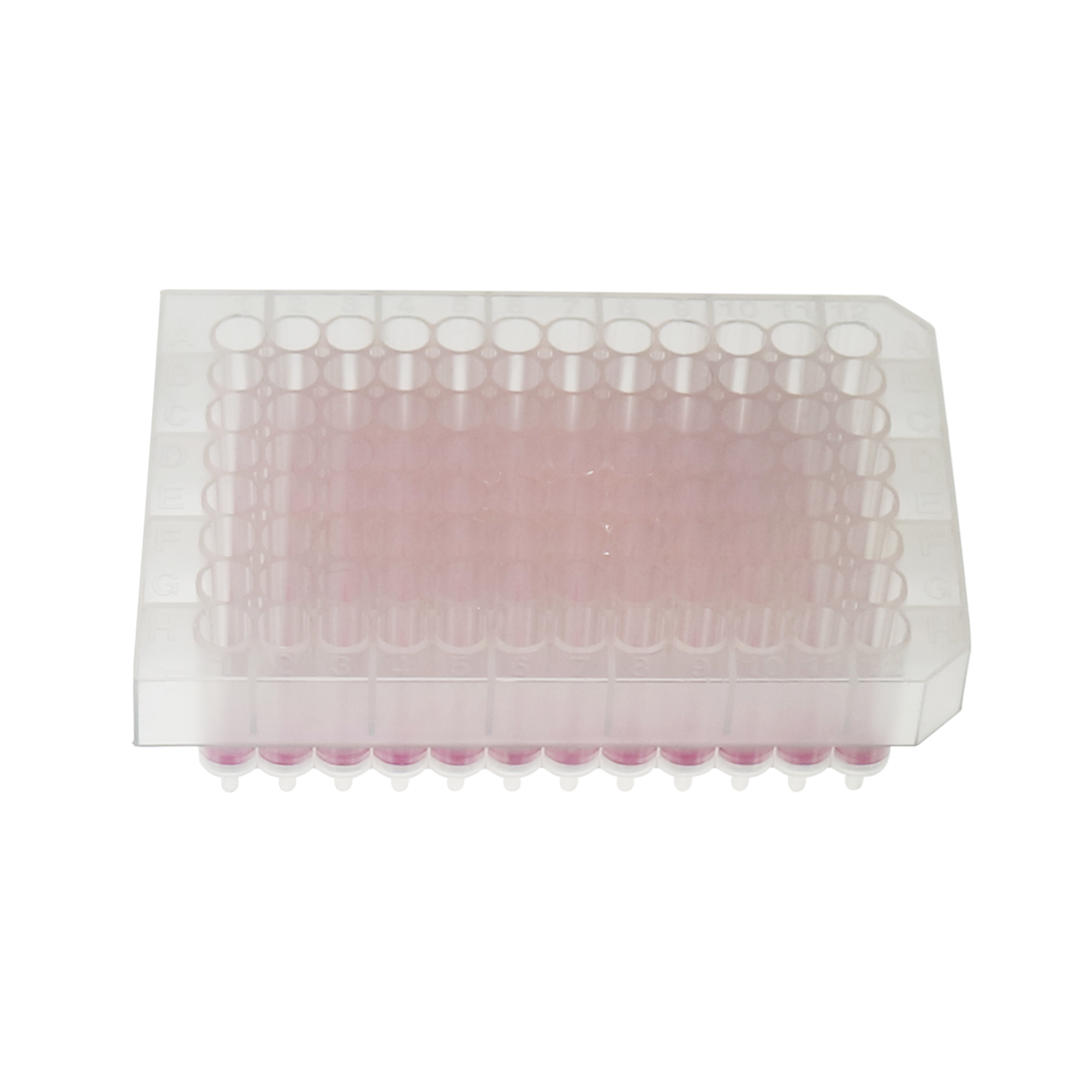 96孔DNA板（质粒）(BPD001)