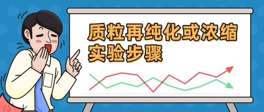 科普|质粒再纯化或浓缩步骤