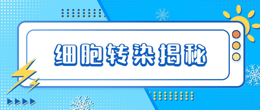 科普|盘点几种细胞转染方法