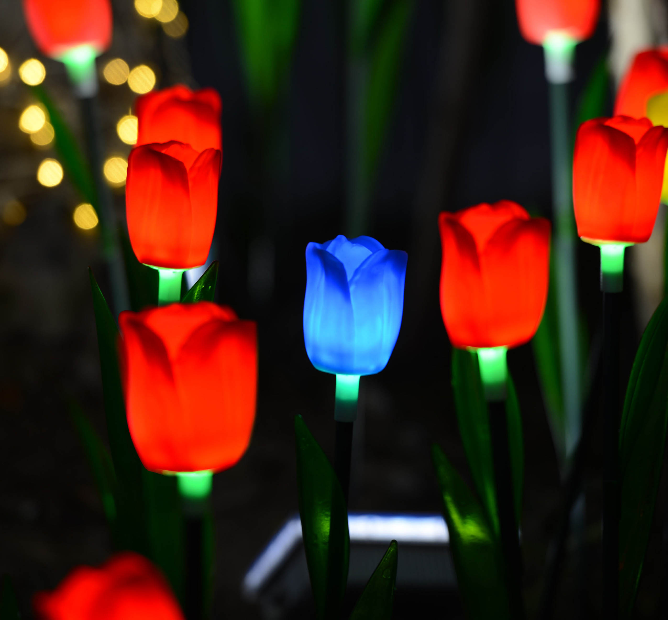 Tulip Light (Low Voltage)
