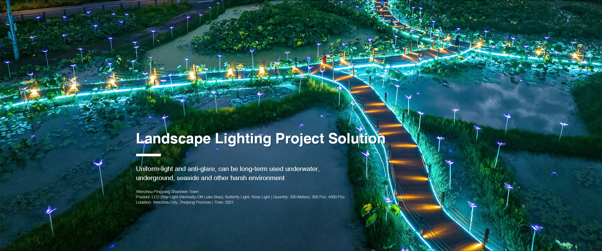 专业软灯带制造商