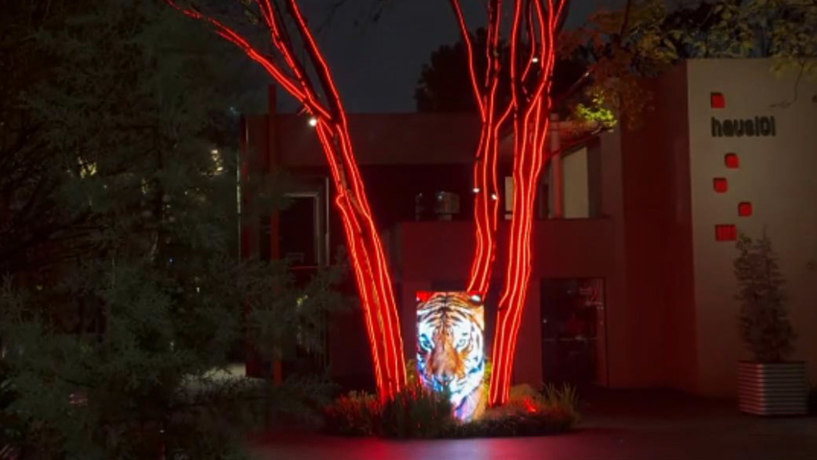 蒋友柏个人艺术展灯光秀