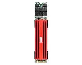 M.2 (P110) 4IG2-P