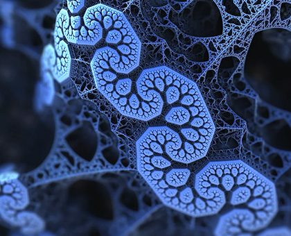 EM ACE600 图像大赛