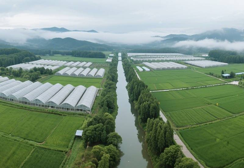 The Magic of Potato Flakes in Frozen Foods: Anti-Cracking, Freshness Preservation, and Quality Enhancement