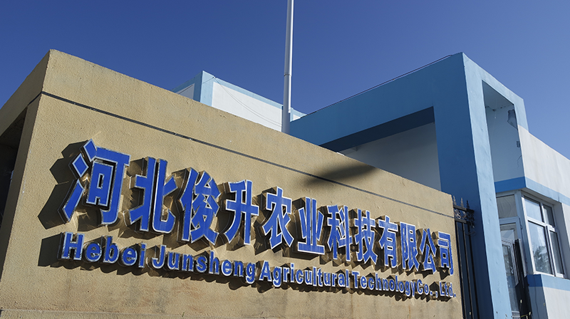 河北省俊升农业科技有限公司：以国际认证与科技创新打造马铃薯全粉产业新标杆