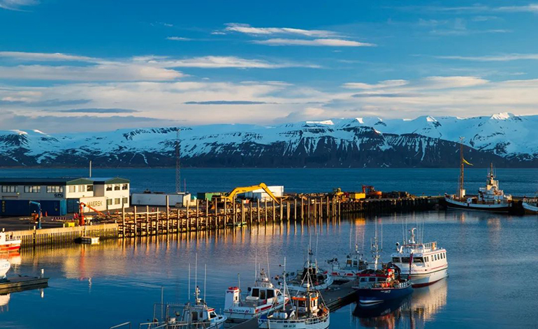 游客向往的纯净岛国 | 冰岛国家馆首次亮相浙江国际进口商品海淘汇