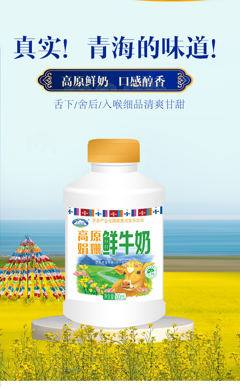 青海湖高原娟姗鲜牛奶热度飙升！网友：这款奶让我找到新选择！