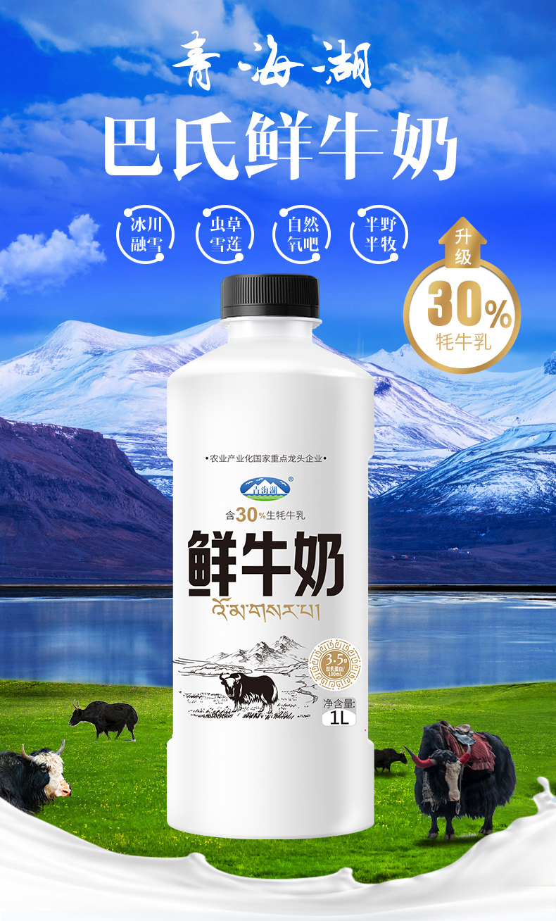 1L鲜奶含30%牦牛奶