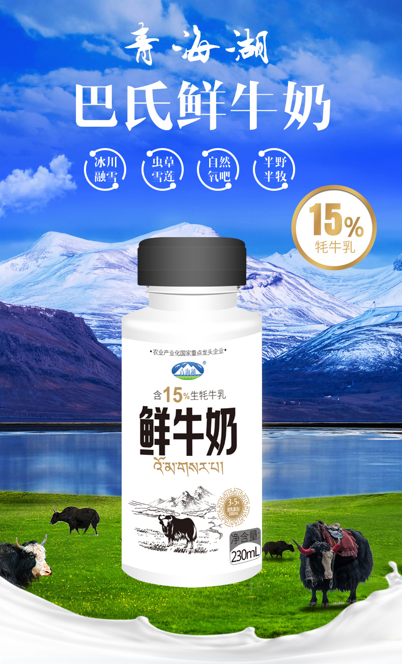 230ml鲜奶含15%牦牛奶