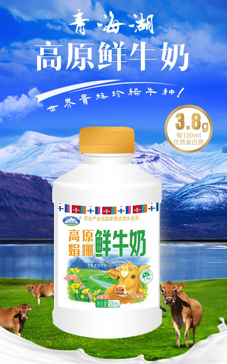青藏高原娟姗鲜牛奶500ml
