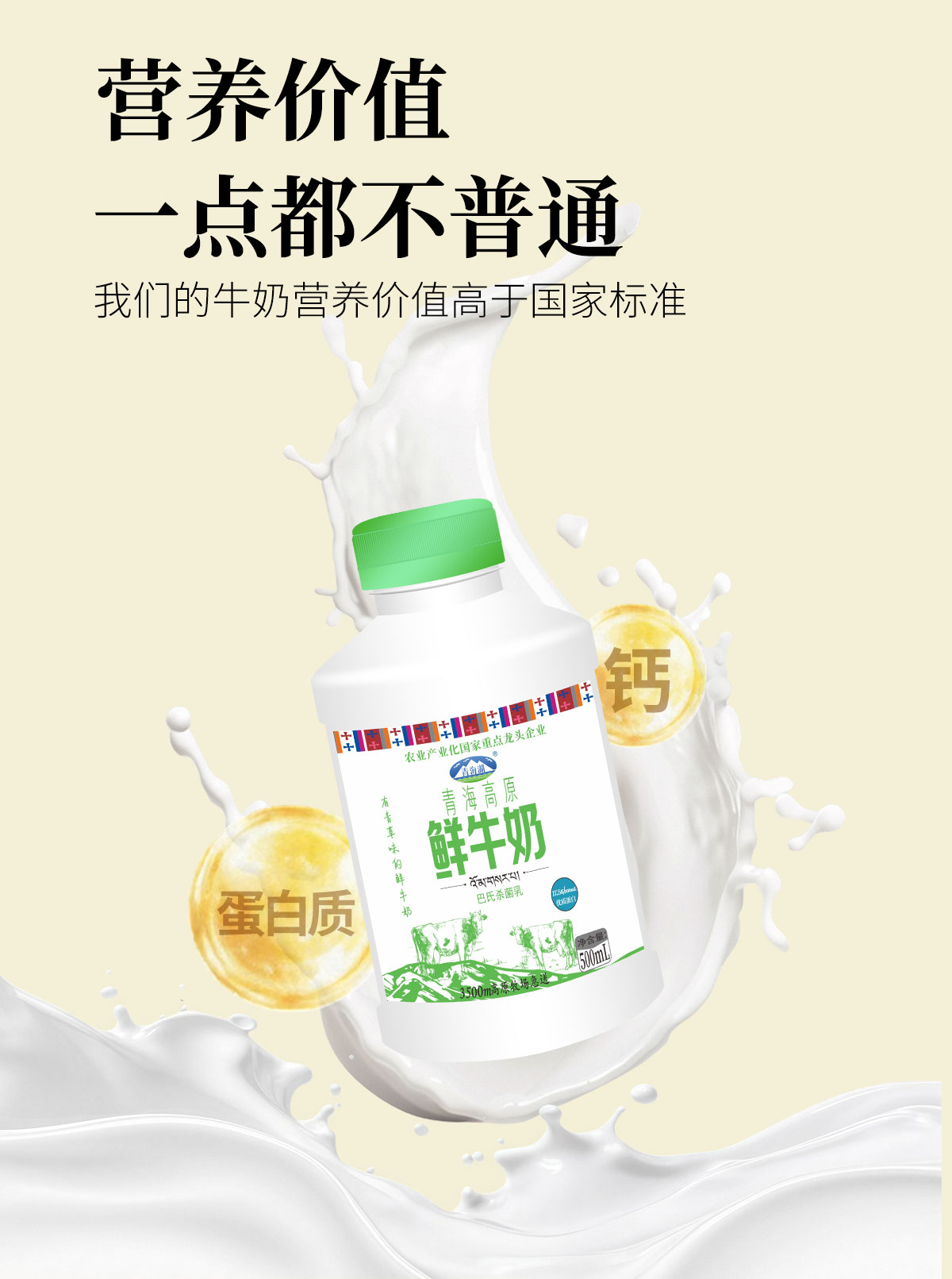 青藏高原的清晨，从一杯高原鲜奶开始