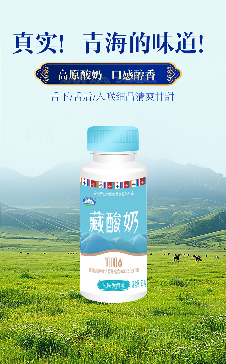 230ML活菌原味藏酸奶（蓝）