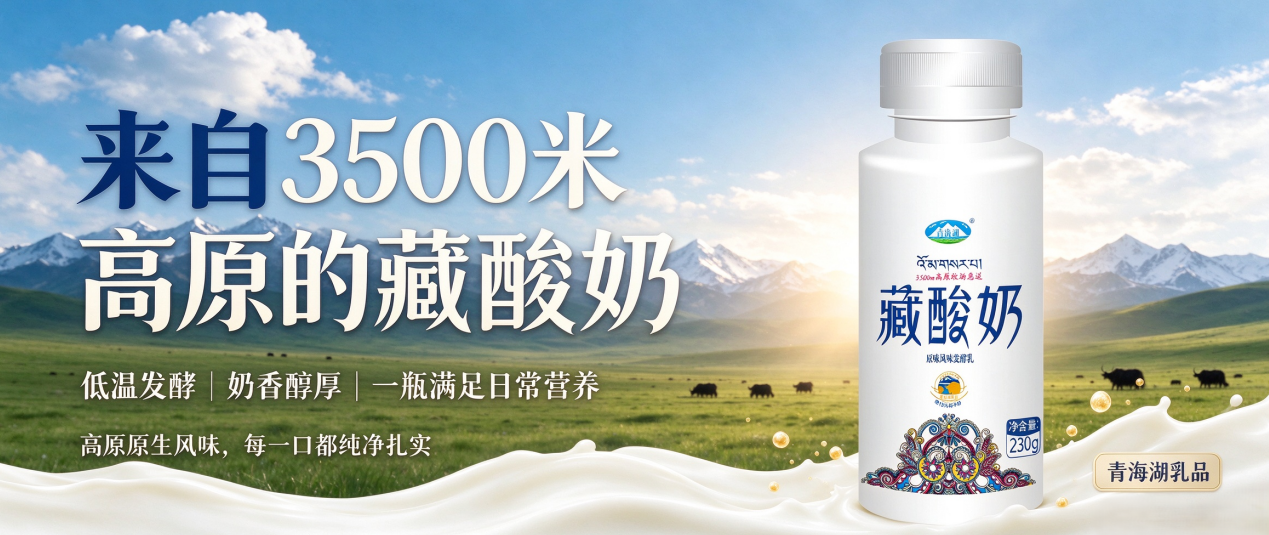 深秋已至｜来自青海湖的一杯暖牛乳，接住秋日凉意