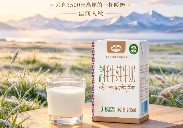 秋风寒露至，秋燥难缓解？试试这杯高原原生好奶