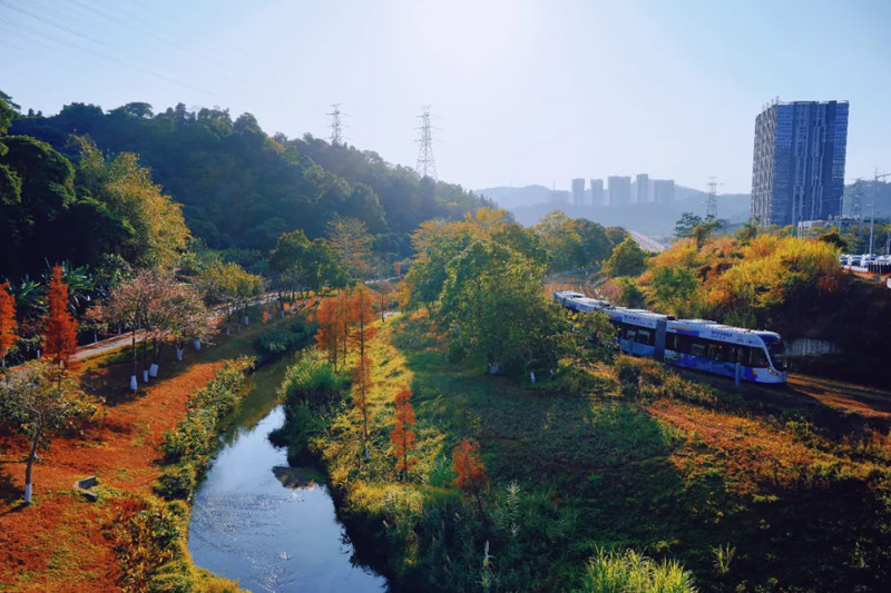 央视新闻 | 推进城市更新在行动：滨水空间活化，桥洞变身河畔公园！
