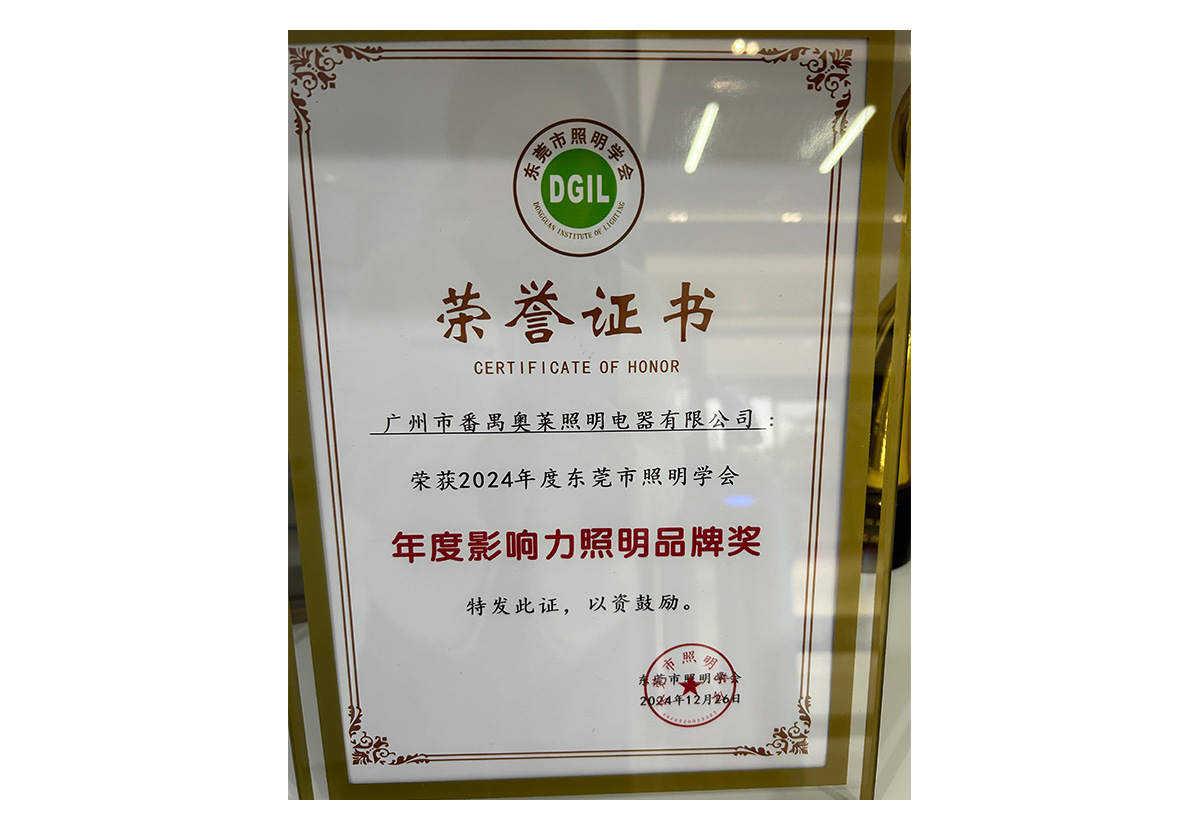 年度影响力照明品牌 奖
