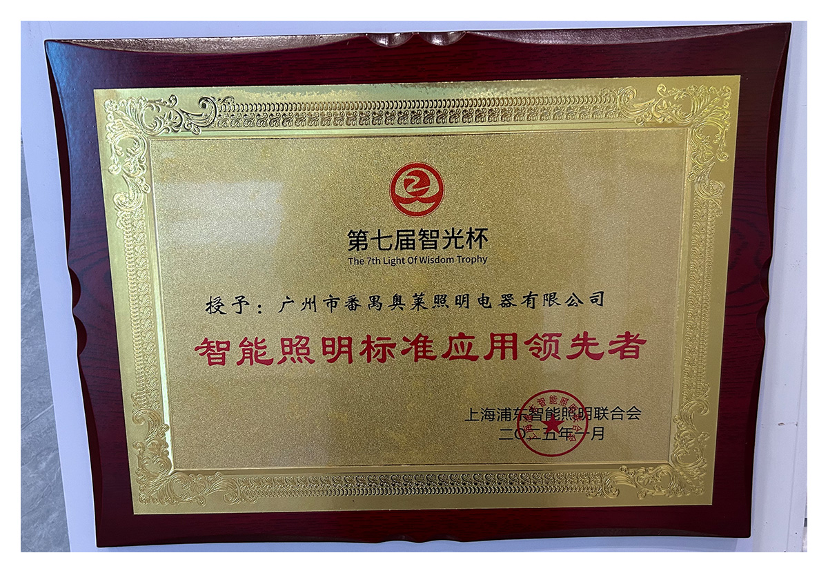 智能照明标准应用领先奖