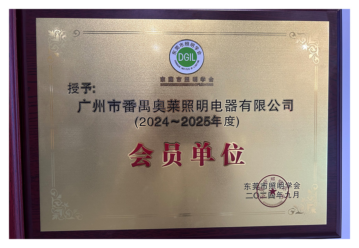 东莞照明学会 会员单位