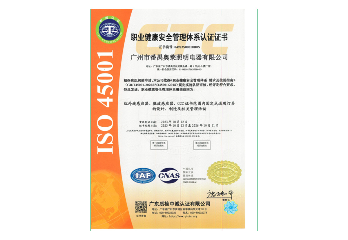 职业健康安全管理体系这个 ISO 45001