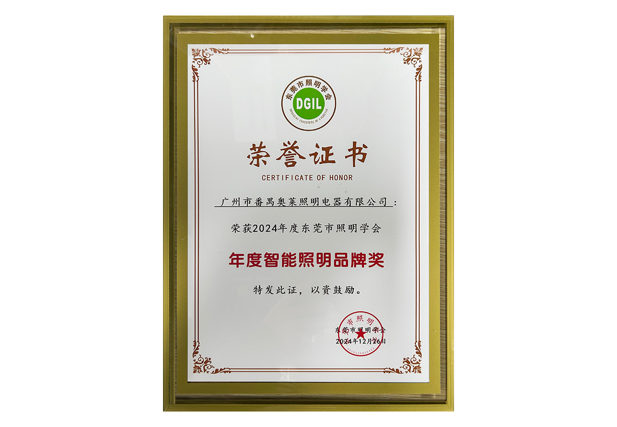24年 年度智能照明品牌奖
