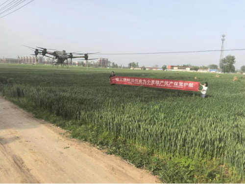 中国人寿财险以风险减量护航粮食安全