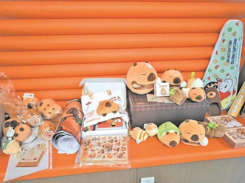 无锡落地“卡皮巴拉小黄豚”保险