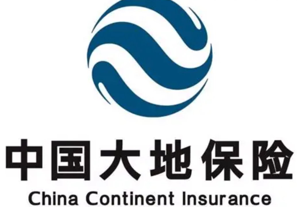 大地保险多举措助力灾后重建