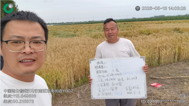 中国人寿财险武汉市中心支公司经济技术开发区支公司扎实开展农业保险防灾减损服务守护小麦生产安全