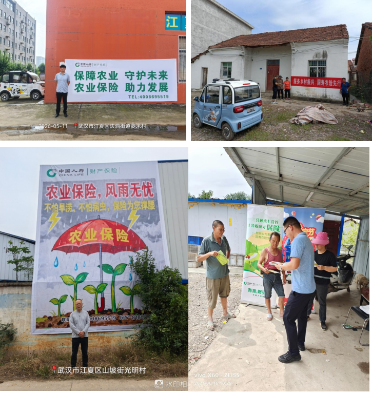 保险政策送下乡 惠农服务暖人心——中国人寿财险武汉市中心支公司 江夏支公司深入基层开展政策性农业保险宣传