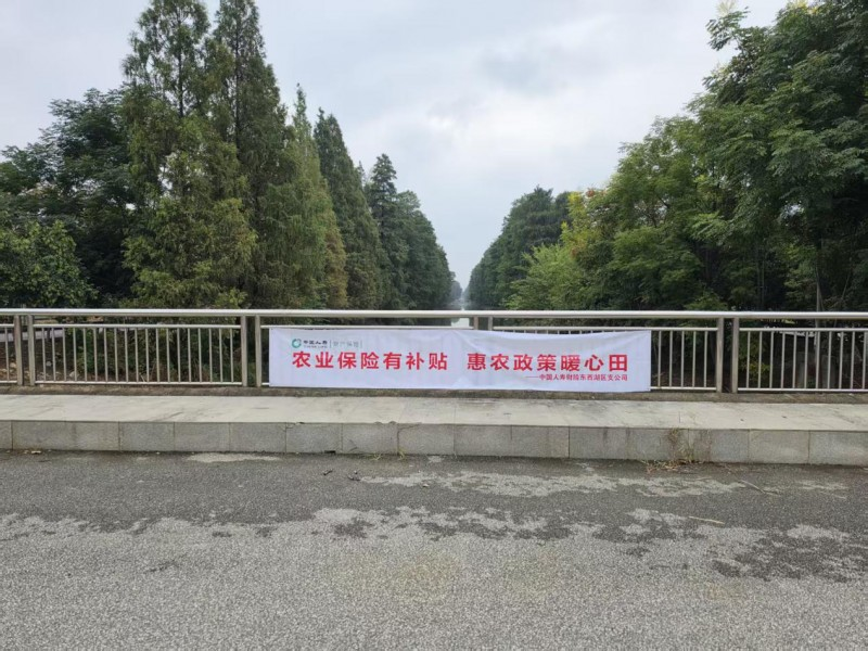 宣传标语进乡村 农险政策入民心——中国人寿财险武汉市中心支公司东西湖区支公司扎实开展农业保险宣传工作