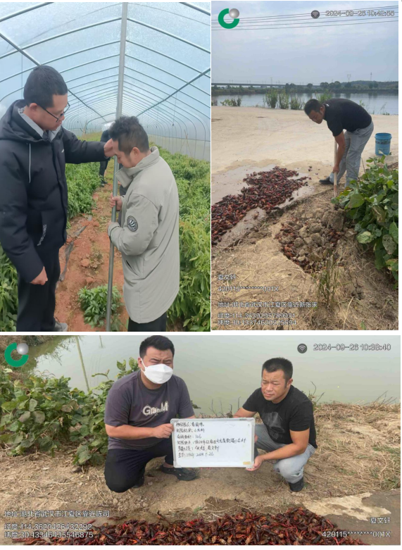 防灾减损走在前 保险服务有温度——中国人寿财险武汉市中心支公司 江夏支公司积极开展农业保险防灾减损服务